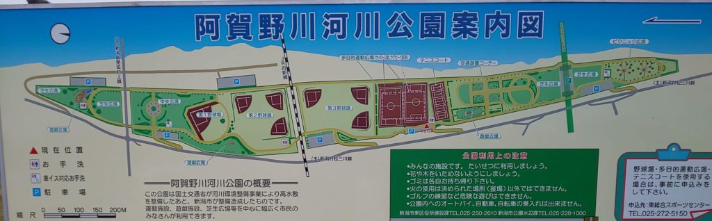 阿賀野川河川公園が穴場である理由 ダトラのブログ